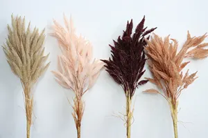 L067 Ins haute qualité populaire couleur naturelle herbe de blé séchée fleur d'orge colorée pour la décoration de la maison mariage hôtel magasin