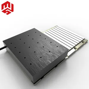 High Force Linear Motor For Laser Processing Machines Flat Shaped Fast Response Permanent Magnetic Linear Motor