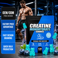Gummies de Créatine Monohydrate – Approvisionnement Direct Usine – Soutien à la Force Musculaire pour la Gym – Complément Fitness – Marque Privée OEM