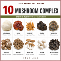 Capsules de Complexe de Champignons Biologiques 10 en 1 Chaga Ganoderma Lucidum Queue de Dinde Relaxation 60 Comprimés Marque Privée Personnalisée