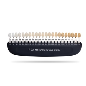 Professional Dental <b>Teeth</b> <b>Whitening</b> Range Set 22 Shades Custom Logo Toothpaste Gel for Home Multi-Purpose <b>Teeth</b> Accessories - Product Image 2
