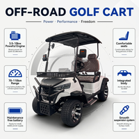 Voiturette de golf longue portée 2 places électrique 48V 72V 3000W, véhicule utilitaire pour navette de plage et de sites touristiques