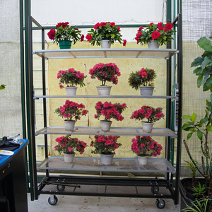 Pour étagère à <span class=keywords><strong>fleurs</strong></span> en métal antirouille avec finition enduite de poudre Présentoir de balcon intérieur autoportant - Product Image 6