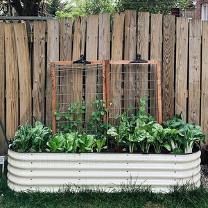 Jardinières de couleur <span class=keywords><strong>en</strong></span> acier métallique, boîte de lit de jardin de légumes galvanisée surélevée super <span class=keywords><strong>septembre</strong></span> fabricant chinois nouveau design nouveau produit - Product Image 2