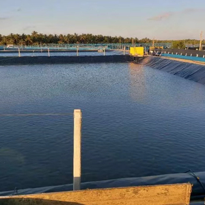 <span class=keywords><strong>HDPE</strong></span> không thấm nước <span class=keywords><strong>geomembrane</strong></span> cho tôm trang trại và ngoài trời AO dam Đầm phá Dòng 1mm 2mm <span class=keywords><strong>3mm</strong></span> mịn bề mặt vật liệu - Product Image 1