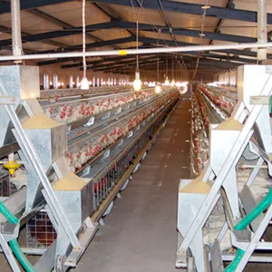 A Type Large Metal Chicken Coops For Layer