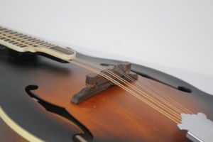 กีตาร์โปร่ง 8 สาย รุ่น Glossy Cutaway คุณภาพเสียงระดับพรีเมียม - Product Image 3