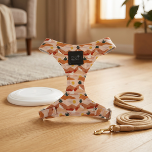 Breathable Cotton Luxury Comfortable Custom Cat Harness <b>Dog</b> Harness Cute Pattern Adjustable Buckle Small Breed Fashion Style - Product Image 1