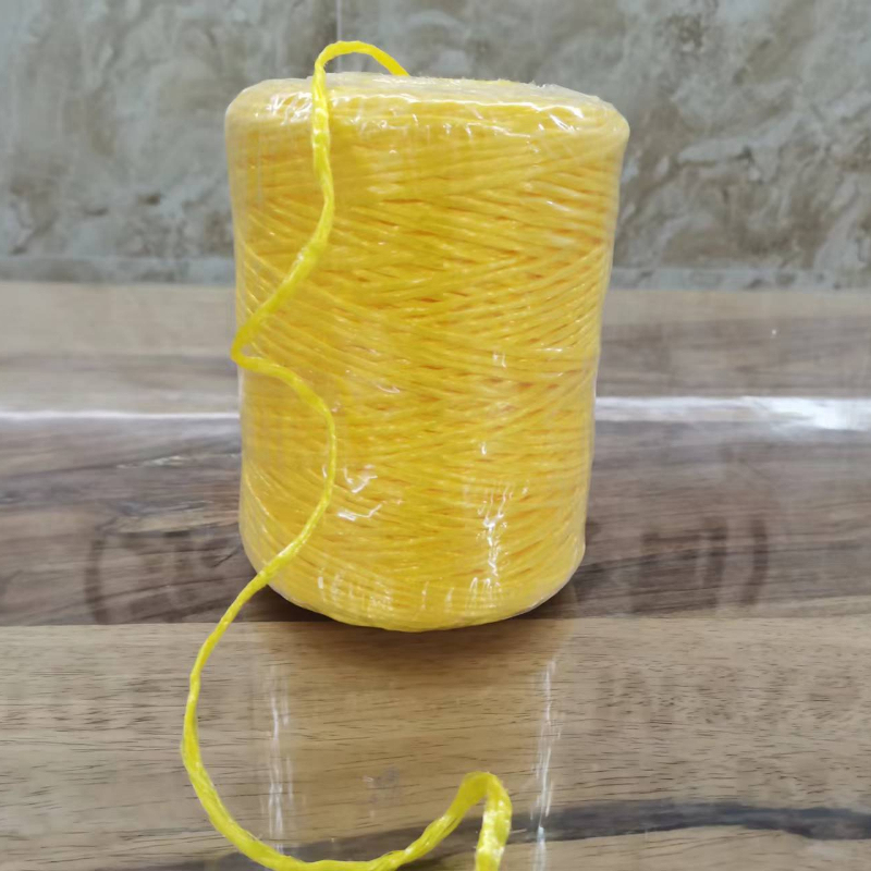 2MM High Quality Colored PP Polypropylene Tomato Tying Baler Twine Plastic Packing Twine In Agriculture