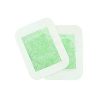 Fournitures de santé, patchs détoxifiants pour les pieds personnalisés, patchs nettoyants naturels à base de plantes, gingembre, bambou, coton, hypoallergéniques, certifiés CE