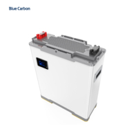 Baterai Blue Carbon 6000+ Siklus 200Ah 250Ah 300Ah Baterai Penyimpanan Energi Sel LiFePO4 24V 25.6V Baterai Lithium Ion Tenaga Surya