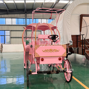 Carruaje Eléctrico de Calabaza de Lujo Estilo Princesa Cenicienta para Bodas Reales Europeas, Transporte Especial - Product Image 3