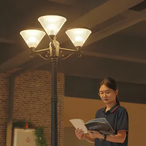 Tỷ Cao Lumen Hiện Đại Giá Bán Buôn Không Thấm Nước Trang Trí Cảnh Quan Vườn Đèn Ngoài Trời Cực Năng Lượng Mặt Trời Ánh Sáng Vườn Đèn