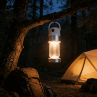 Lampe à bouteille magnétique multifonctionnelle, lanterne de camping LED portable, lampe suspendue rétro pour l'extérieur, ambiance et éclairage d'urgence