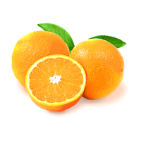 Zeste d'orange fraîche à haute teneur en vitamine C Goût sucré Citron vert citron pour motif de jus de fruits Agrumes frais Manger