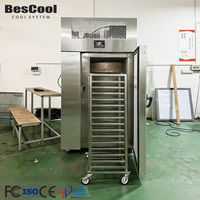 Congélateur vertical à refroidissement rapide avec surveillance à distance -60°C - Vente en gros ℃   Sur mesure pour usine de légumes surgelés/usine de plats préparés