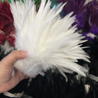 Plumes de coq naturelles en gros de 4 à 8 pouces pour la fabrication de chapeaux, éventails, artisanat, arrangements floraux de mariage et décoration