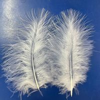 Plumes de Marabout Entières Multicolores en Gros, Plumes de Dinde Blanches de 5-7 pouces pour Artisanat DIY, Chapeaux, Coiffes, Attrape-rêves, Jouets pour Chats