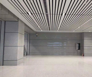 גרניט לבן G603, משטחים וריצוף חצר עשויים לוחות גרניט לבן שומשום מודרני - Product Image 4