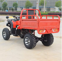 Quad à essence puissant, véhicule utilitaire agricole, buggy des dunes pour adultes