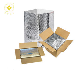 Geïsoleerde Mailers Voedselkoelers Hersluitbare Folie Thermisch Geïsoleerde Ritssluiting Koelscherm Geïsoleerde Zakken Verzendzak - Product Image 1