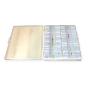 Öğretim tedarikçisi sabit 100 çeşit Set hayvan doku böcek türleri mikroskop hazırlanan zooloji slaytlar - Product Image 3