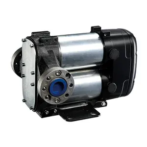 Tragbare Diesel kraftstoff pumpe 12V High Flow Transfer pumpe Für Kraftstoff übertragung 80 LPM Diesel Transfer pumpe 24V