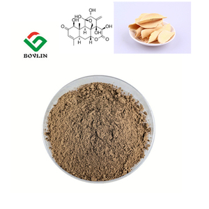 Fornitura di fabbrica integratore a base di erbe Tongkat Ali radice di estratto in polvere - Product Image 6