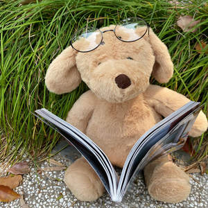 愛らしいぬいぐるみ犬のおもちゃ卸売ふわふわ耳ぬいぐるみ子犬犬のおもちゃプロモーションギフトぬいぐるみカスタム - Product Image 3