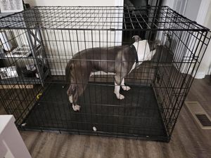 บ้านสุนัขราคาถูก ขายส่งจากโรงงาน ลวดเหล็ก บ้านสัตว์เลี้ยงขนาดใหญ่ คอกสุนัข บ้านสุนัขแบบกรง - Product Image 4