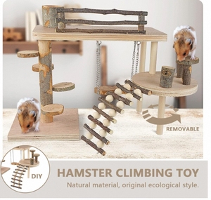 İki katmanlı ahşap oyun alanı aktivite platformu köprü Modern tasarım elma ahşap çiğneme oyuncaklar küçük evcil tırmanma oyuncaklar için - Product Image 3