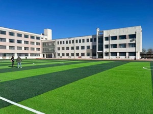 Chất lượng cao 50mm thân thiện với môi trường PE tổng hợp cỏ cỏ nhân tạo Turf/Bóng đá cỏ nhân tạo ngoài trời đào tạo lĩnh vực - Product Image 5