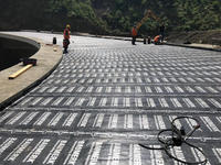 Rouleau de sous-couche étanche en gros d'usine pour les matériaux de protection de toit imperméabilisant la membrane de bitume