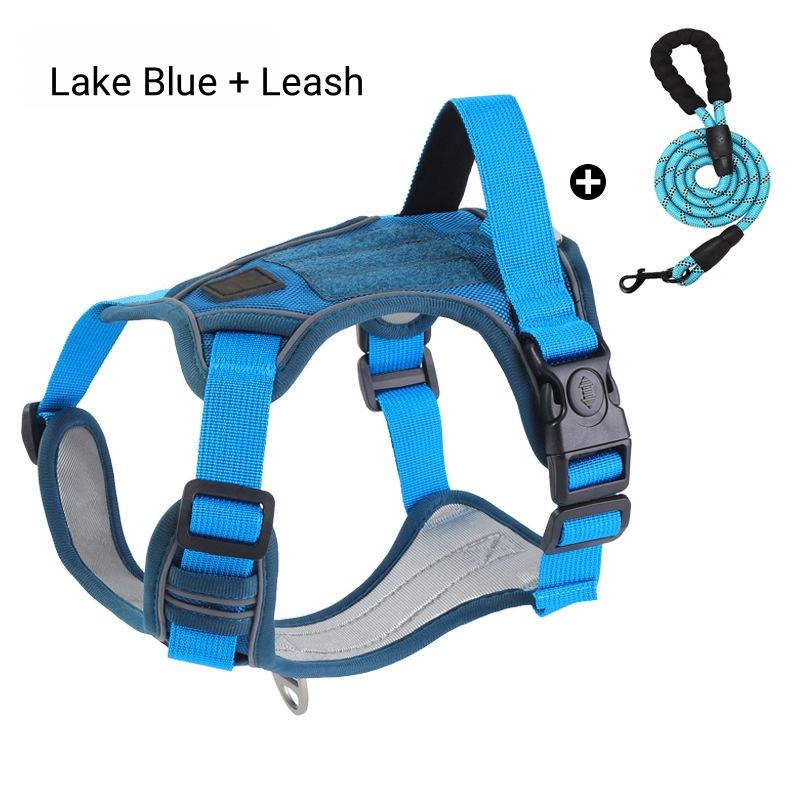 สีฟ้าทะเลสาบ