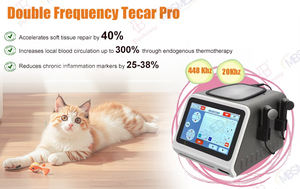 Máquina portátil de fisioterapia de doble frecuencia con certificación CE 20kHz + 448kHz Indiba <span class=keywords><strong>TECAR</strong></span> para rehabilitación veterinaria y humana - Product Image 2