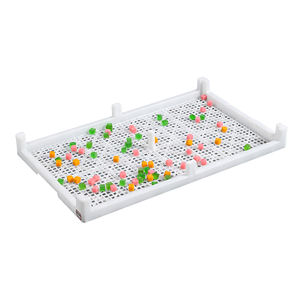 Bandejas de Secado Apilables de Plástico para Pepino de Mar / Mariscos / Pescado / Bolas de Pintura / Gomitas / Cápsulas Blandas / Vegetales - Product Image 2