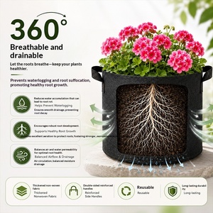 Sacs de culture de fleurs et de plantes en tissu non tissé, pliables et portables, pour la culture de légumes et de fraises à domicile et au jardin, vente en gros transfrontalière - Product Image 3
