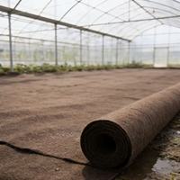Géotextile non tissé pour usage agricole 100% PLA écologique biodégradable respirant ignifuge uni aiguilleté