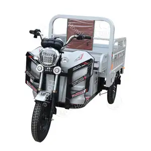 Fabrika fiyat ağır üç tekerlekli bisiklet Scooter 3 tekerlekli bisiklet elektrikli motosiklet 5000W