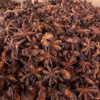 Graines d'anis étoilé séchées naturelles de marque Yongjiang, en gros, prix personnalisé, provenance Guangxi, pour la vente en gros directe d'usine