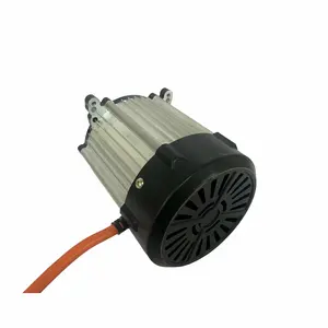 Çin 72V elektrikli üç teker bisikletler diferansiyel hız 128 ile DC motor yapar