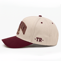 Casquette de camionneur vintage bicolore avec logo brodé 3D, casquette de camionneur en coton à profil haut, logo personnalisé, casquette rétro pour homme, casquette à fermeture snapback