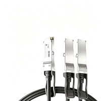 400G ila 2X200G QSFP-DD 2xQSFP56 DAC Yüksek Hızlı 5G Bakır Kablo 1m/2m/3m Pasif Doğrudan Bağlantılı Tak ve Çalıştır Veri Merkezi