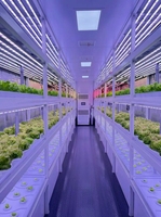 Serre de culture verticale hydroponique automatique Seedafarm à commande PLC, avec pompe, pour l'agriculture en conteneur de 40 pieds