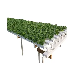 Tubos de cultivo de canal NFT agrícola, Barranco hidropónico Vertical, pipas de cultivo de verduras de PVC, lechuga, hierbas QND