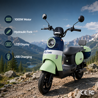 Moto électrique 1000W, 48V/60V, fourche hydraulique, écran LCD, charge USB, boîte arrière