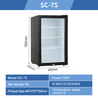 SC-50L/75L/110L petite vitrine de porte en verre bière boisson refroidisseur usage domestique réfrigérateur intelligent AC DC réfrigérateur réfrigérateur