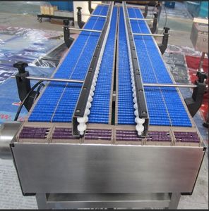 La cinta transportadora de bolas 821 se utiliza para el transporte en línea recta en varias fábricas. - Product Image 4