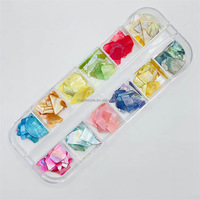 Nail Art Aurora Shell Flakes Abalone Nails Charms 3D Irrégulière Slice Shell Stone Sequins Nail Art Décoration Manucure Accessoire
