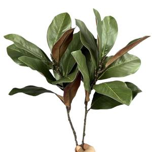 Grosir tanaman buatan daun magnolia cabang magnolia ornamen Camellia tanaman hijau plastik dekorasi lanskap - Product Image 5